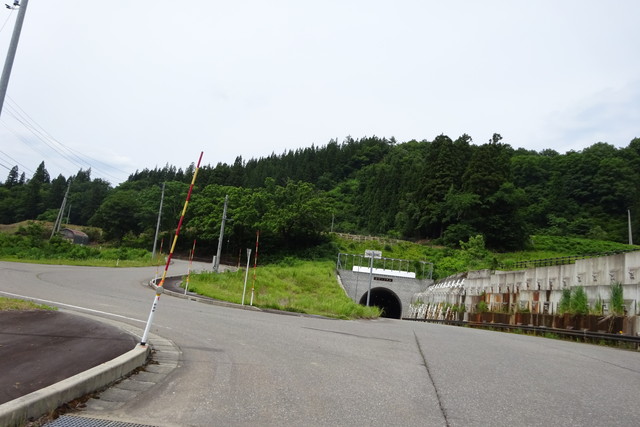 DSC01081.jpg