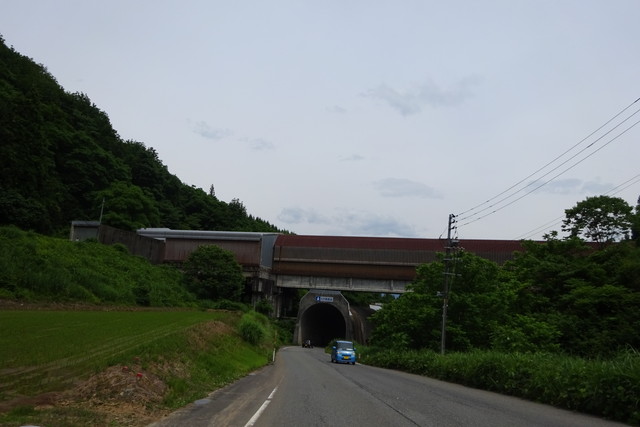 DSC01084.jpg