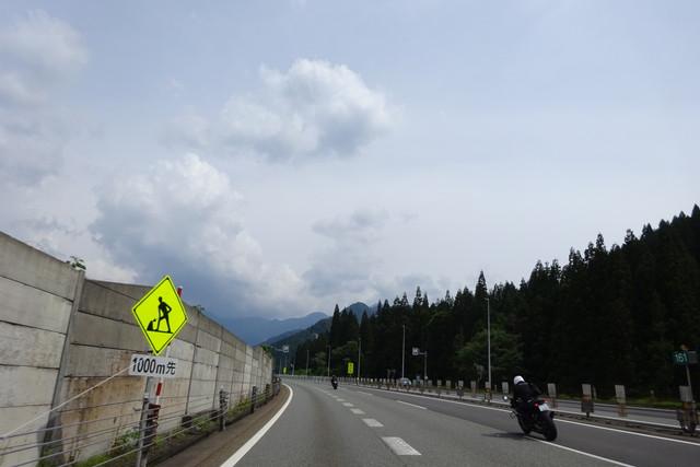 DSC01093.jpg