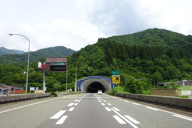DSC01096.jpg