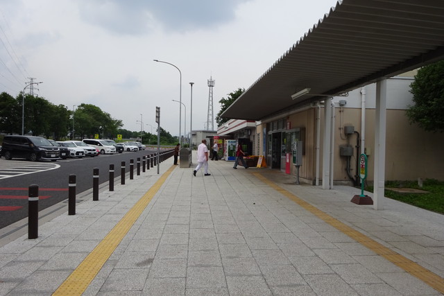 DSC01100.jpg